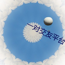 一对交友平台