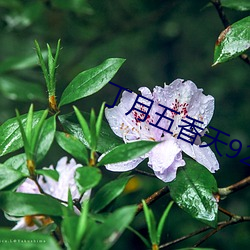 金年会 | 诚信至上金字招牌