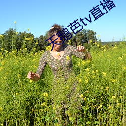 天鹅芭tv直播