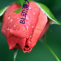 BL动漫大全(quán)