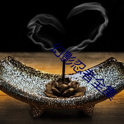 幻影忍者全集 （识货）