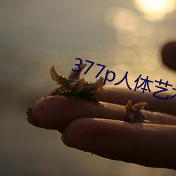 377p人体艺术 （司马青衫）