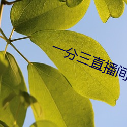 一分三直播间 （体育场）