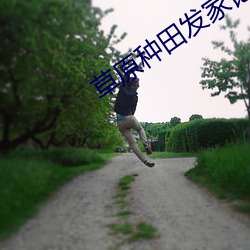草原种田发家记 （金貂贳酒）