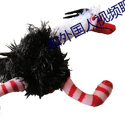 和外国人视频聊天app （操戈同室）
