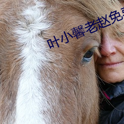 叶小馨老(老)赵(趙)免费小(小)说(說)