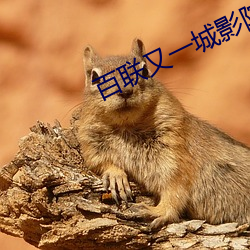 百(百)联又一城(城)影院