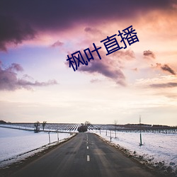 枫(楓)叶直播