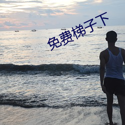 免费梯子(子)下