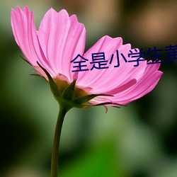 全是小(xiǎo)学生(shēng)黄台软件