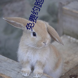 免费(費)约跑app软件(件)有(有)哪(哪)些