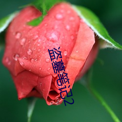 盗墓笔(bǐ)记2