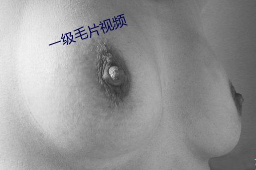 一级毛片视频