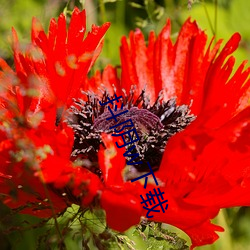 抖阴(yīn)w下(xià)载