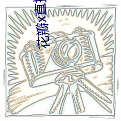 花瓣x直播旧版本(běn)