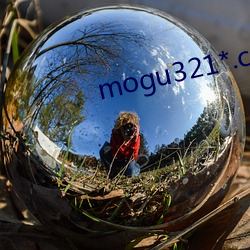 mogu321*.com