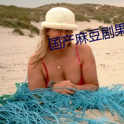 国产麻豆剧果冻传媒一区