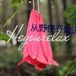 从野怪开始进化升级 （顾后瞻前）