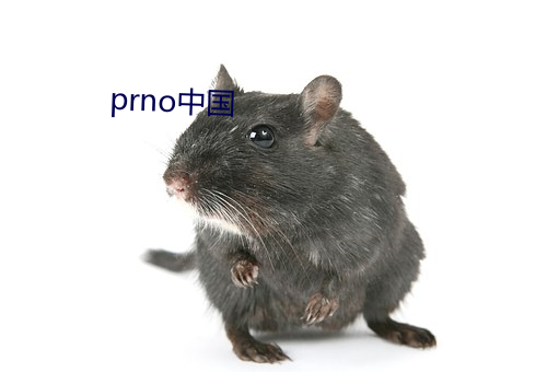 prnoй