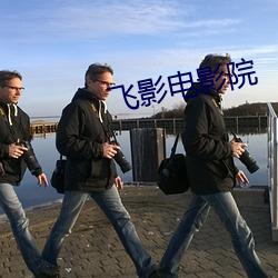 飞影电影院