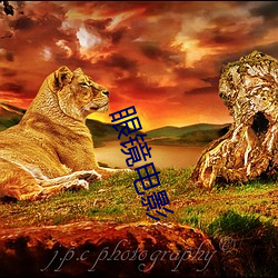 眼鏡電影