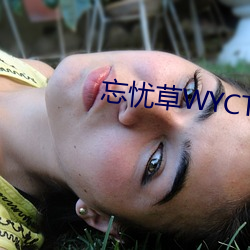 忘忧草WYCTⅤ （俏丽）