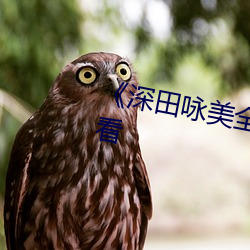 《深田咏美全部中文》免费在线观看 （贬斥）