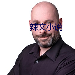 辣文小說