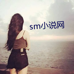 sm小说网 （度量）