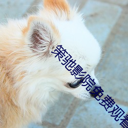 策驰(馳)影院免(免)费观看(看)