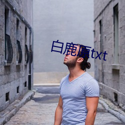 白鹿原txt