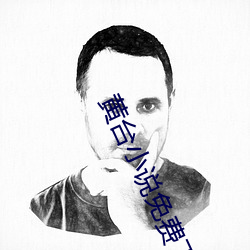 黄台小说免费下载