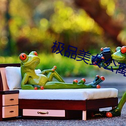 极品美女公寓(yù)