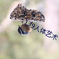 金年会 | 诚信至上金字招牌