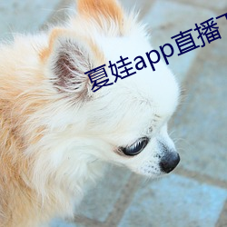 夏娃app直播下載入口