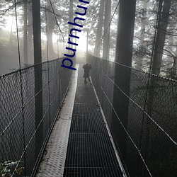 purnhurb官方地址