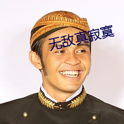 无(wú)敌真寂寞