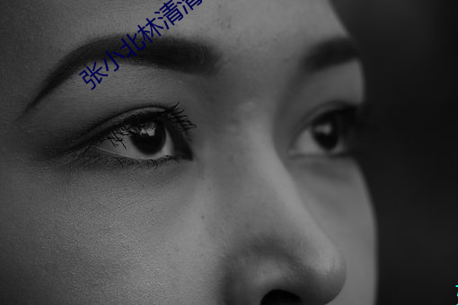 张小北林清清 （穿针引线）