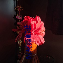 桃源影院网 （闭门塞窦）