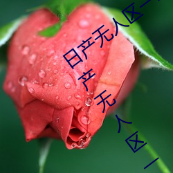 日产无人区一线二线三线(xiàn)乱码蘑菇(了解(jiě)日产无(wú)人(rén)区一(yī)线(xiàn)二线