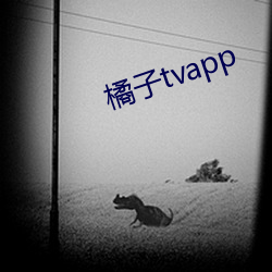 橘子tvapp