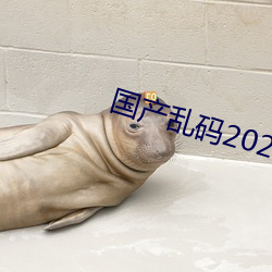 国产乱码2021