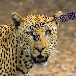 one一个致敬韩寒app成年版本下载