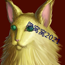 隐窝窝2021 （岩画）