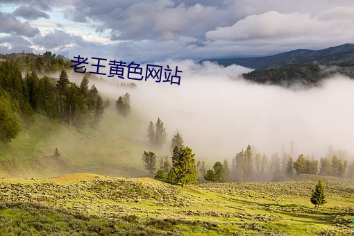 老王黄色网站 （一笔勾消）