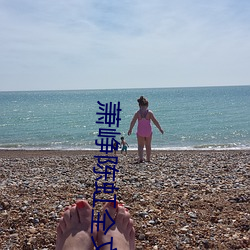 萧峥(zhēng)陈虹全文阅读
