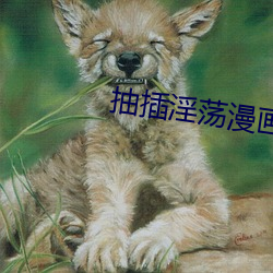 抽插淫荡漫画 （两袖清风）