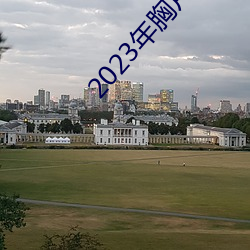 2023年胸片曝光(光)