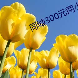 同城300元兩小時