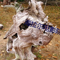 尊龙凯时-人生就是搏!